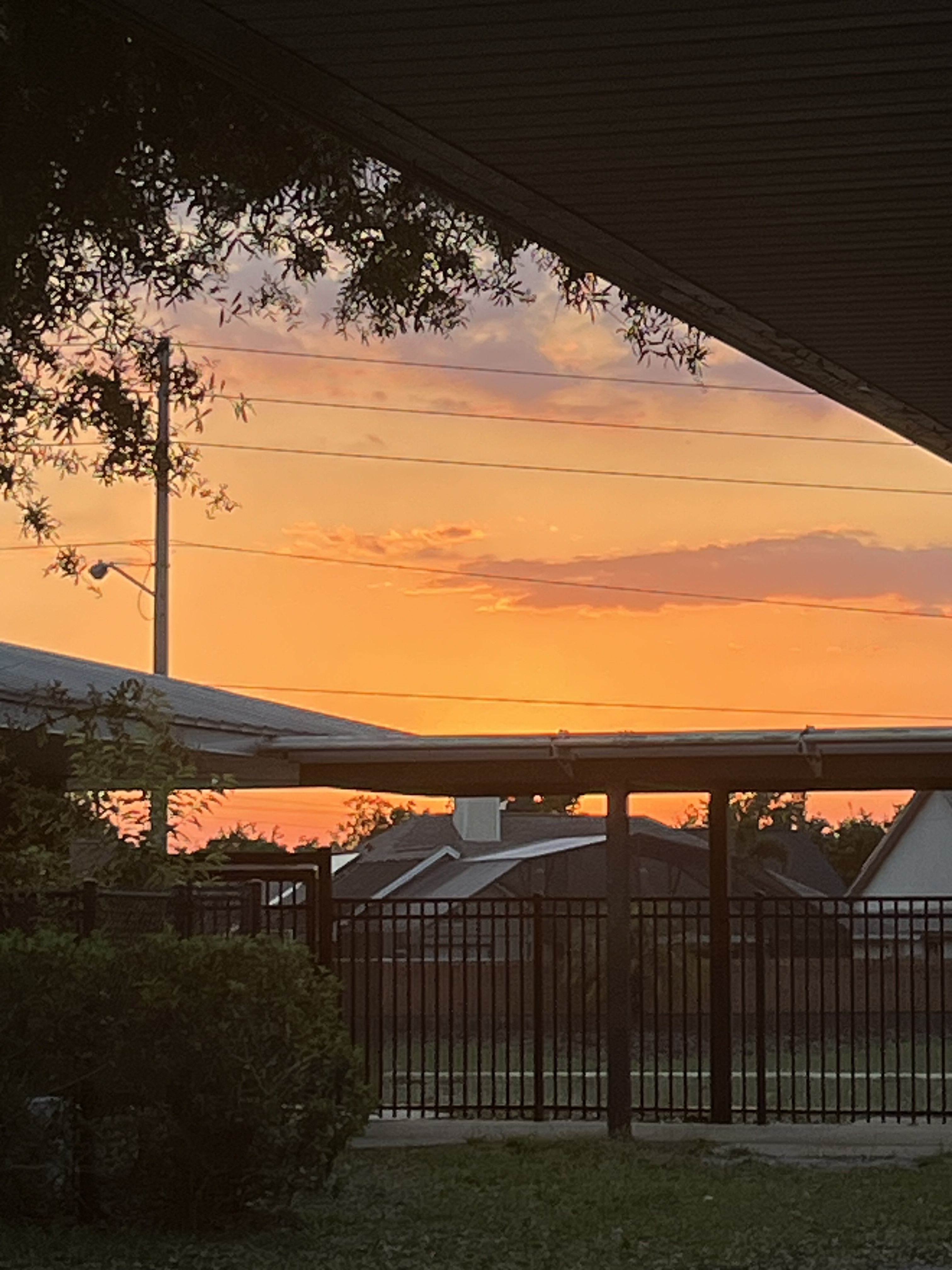 teacups_are_lit_24582