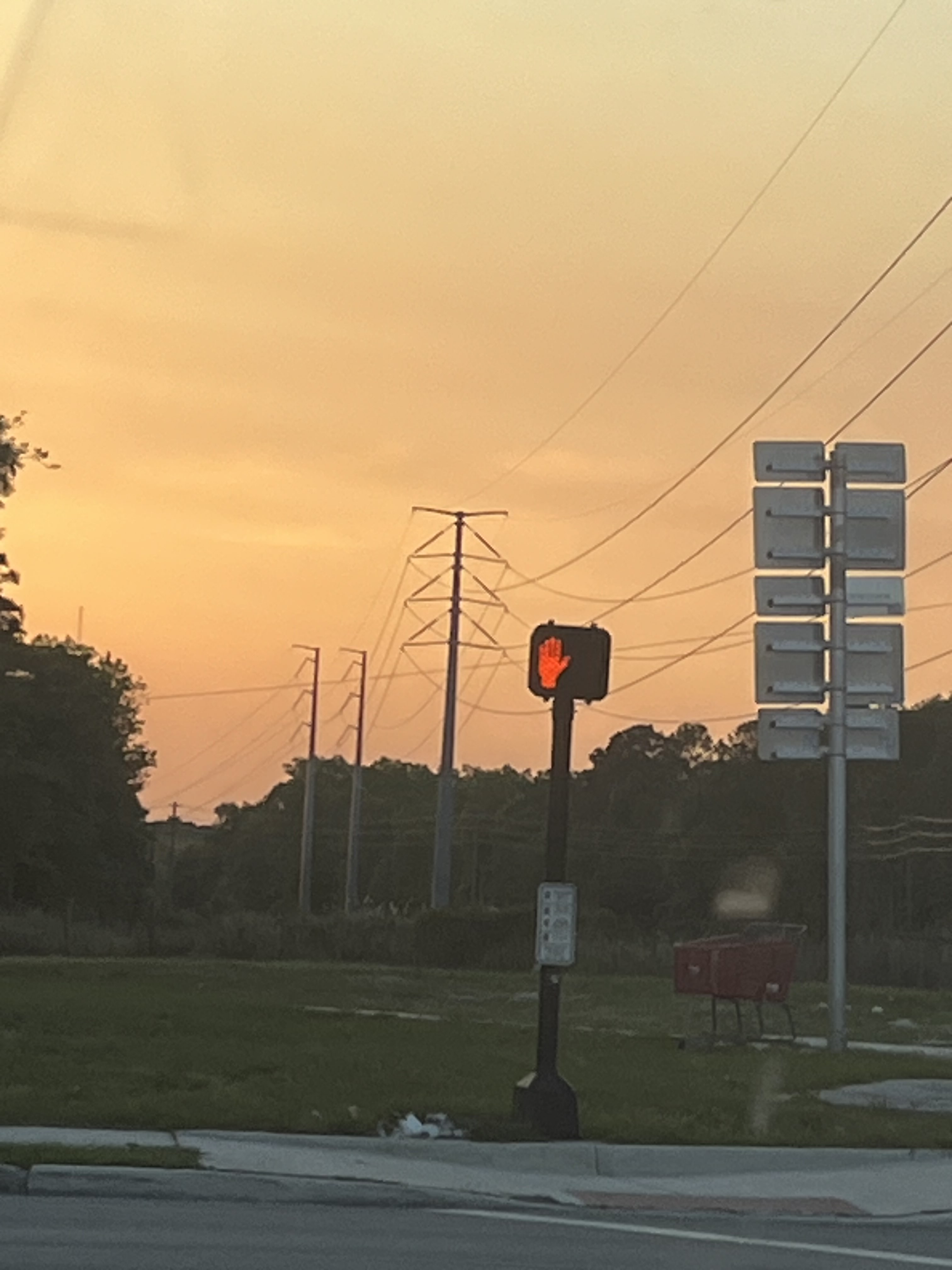 teacups_are_lit_24582